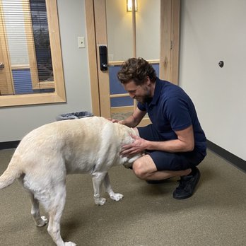 Bark Busters - Training with Griffin - Pet Training Near Me Bark Busters - Training with Griffin - Pet Training Near Me