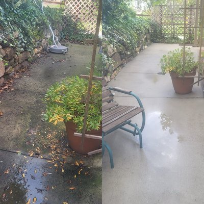 Spring clean - End of spring clean up