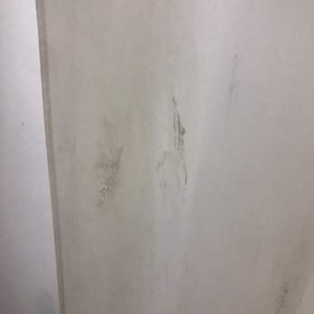 Quality Inn - Mold on shower curtain - Hotels Near Me - Sylacauga, Alabama Quality Inn - Mold on shower curtain - Hotels Near Me - Sylacauga, Alabama