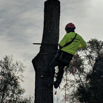 Kristian Tree Service - Tree Services Near Me - Freehold, New Jersey Kristian Tree Service - Tree Services Near Me - Freehold, New Jersey