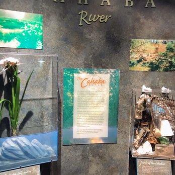 McWane Science Center - Museums Near Me - Birmingham, Alabama McWane Science Center - Museums Near Me - Birmingham, Alabama