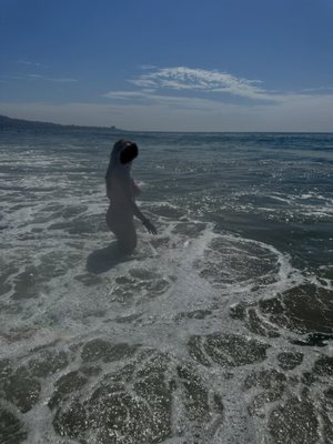 Black's Beach by null
