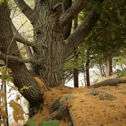 Deerfield Nature Park