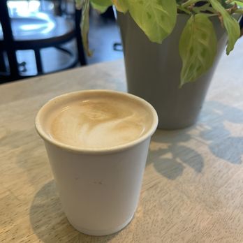 Sipping Turtle Cafe - latte - A latte with foam on top is served in a white paper cup on a light wooden table. A potted plant with green leaves is positioned behind the cup, and the background includes chairs and a window, indicating an indoor café setting. - Cafes Near Me - Chicago, Illinois