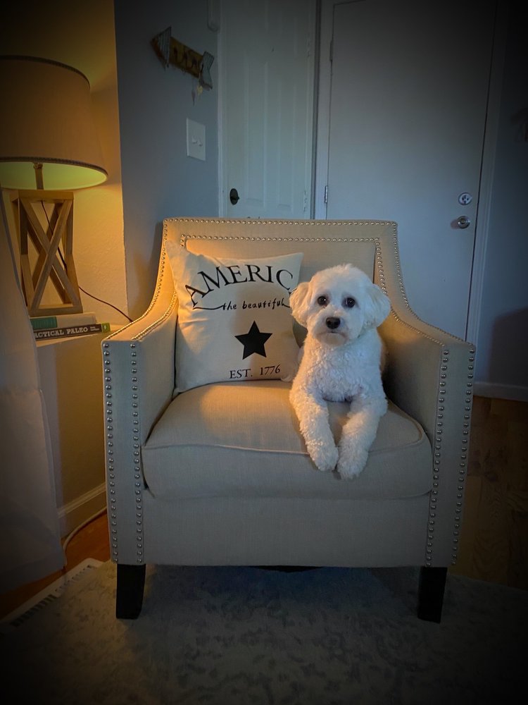 SHAGGY DOGGY SALON 30 Photos & 35 Reviews 15493 E Hampden Ave