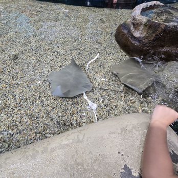 Ocean Adventures - Aquariums Near Me - Gulfport, Mississippi