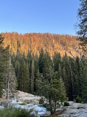 Kings Canyon National Park by null