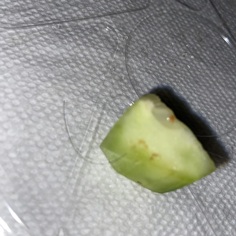 Pizza Classica - Disgusting a hair in my salad! - Pizza Near Me - Glendale, New York Pizza Classica - Disgusting a hair in my salad! - Pizza Near Me - Glendale, New York