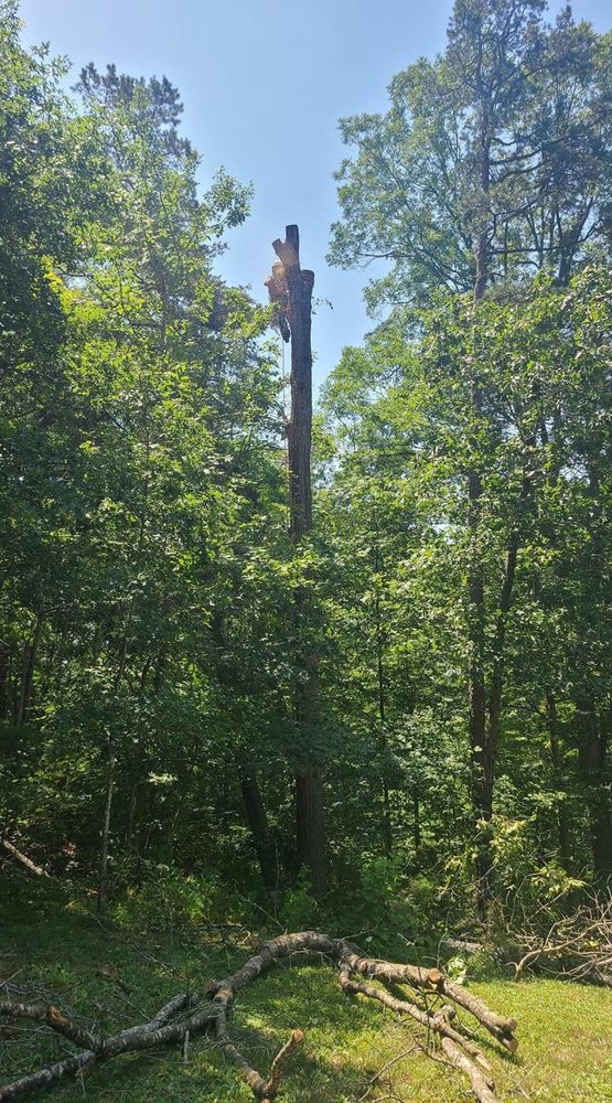 MORELLI ARBORWORKS Updated August 2024 Purcellville, Virginia