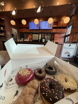 Blackbird Doughnuts Watertown by null