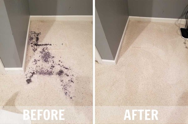 Superior Results for A Healthier Home or Workspace - When you are looking for professional carpet cleaning services in Florida, you can count on TMT. Your carpets play an important role in maintaining a healthier indoor environment.
Our Certified Technicians use a unique Hot Cleaning Extraction (HCE) process along with Green Certified solutions to penetrate deep into carpet fibers and lift particles and dirt to the surface where they are extracted with our high-pressure equipment. The result is a deeper clean, faster-drying carpets, and a healthier home. Superior Results for A Healthier Home or Workspace - When you are looking for professional carpet cleaning services in Florida, you can count on TMT. Your carpets play an important role in maintaining a healthier indoor environment.
Our Certified Technicians use a unique Hot Cleaning Extraction (HCE) process along with Green Certified solutions to penetrate deep into carpet fibers and lift particles and dirt to the surface where they are extracted with our high-pressure equipment. The result is a deeper clean, faster-drying carpets, and a healthier home.