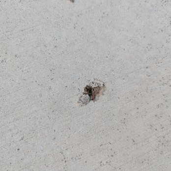 D & G Cement - Holes! - Masonry/Concrete Near Me - Dearborn Heights, Michigan D & G Cement - Holes! - Masonry/Concrete Near Me - Dearborn Heights, Michigan