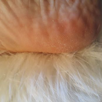 Ocean Nails Spa - Dead skin - Nail Salons Near Me - Waco, Texas