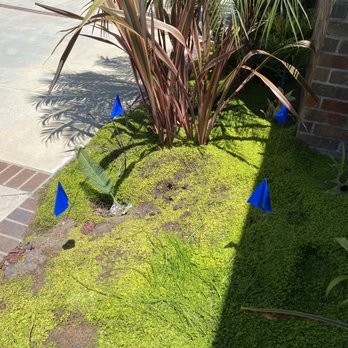 Pinpoint Leak Detection - Flagged area - Home Inspectors Near Me - Ventura, California