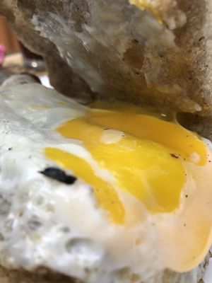 Casa Florida Miami by null Casa Florida Miami by null