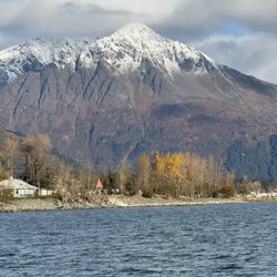 Seward Ocean Excursions
