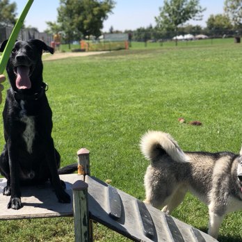 Morse Dog Park - Dog Parks Near Me - Elk Grove, California