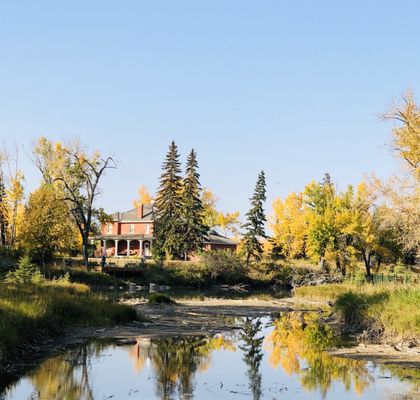 Inglewood Bird Sanctuary by null