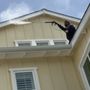 Photo of Warrior Window and Gutter Cleaning
