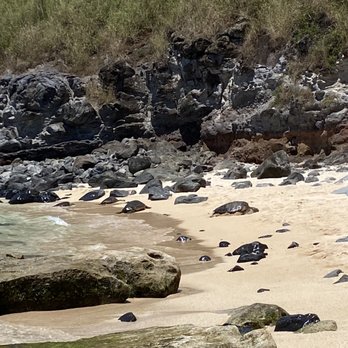 Hookipa Beach Park - Parks Near Me - Paia, Hawaii Hookipa Beach Park - Parks Near Me - Paia, Hawaii