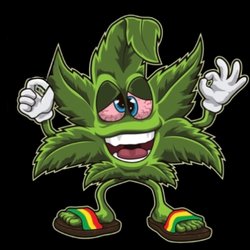 Fusion 420 - Fusion 420