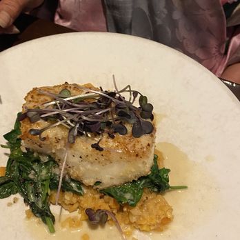 Five Restaurant - Chilean Seabass - Italian Near Me - Fresno, California Five Restaurant - Chilean Seabass - Italian Near Me - Fresno, California