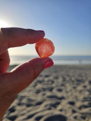 Lori Wilson Park by null