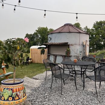 Crazy Daisies - Outdoor space - Nurseries & Gardening Near Me - Syracuse, New York