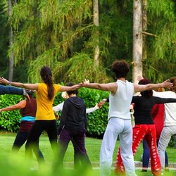 Jan Tucker - Healing with Qigong - Do qigong outdoors or VISUALIZE doing it outdoors!