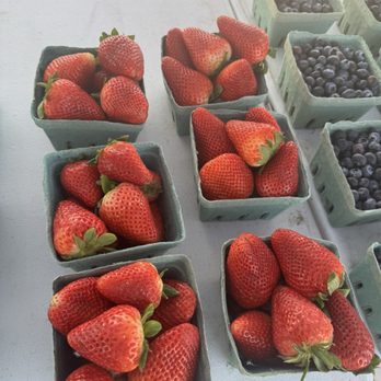 Sachse Farmers Market - Farmers Market Near Me - Sachse, Texas Sachse Farmers Market - Farmers Market Near Me - Sachse, Texas