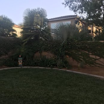 Water Saving Landscape - Landscaping Near Me