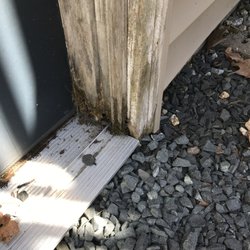 Working Dog Home Inspection