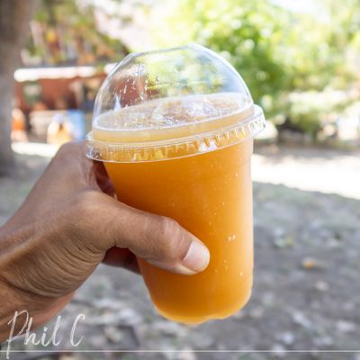 Snow-Line Orchard by null