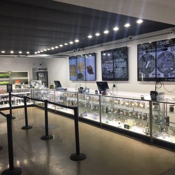 Green Dragon - Shop - Cannabis Clinics Near Me - North Hollywood, California Green Dragon - Shop - Cannabis Clinics Near Me - North Hollywood, California