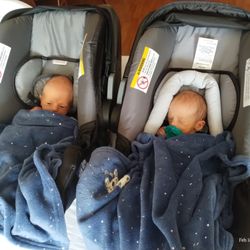 Care Net Pregnancy Center Of Paradise