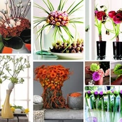 Blooming With Gifts & Flowers