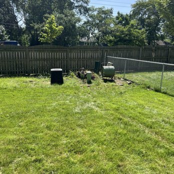 Lulic Tree Service - Clean! - Tree Services Near Me - Countryside, Illinois