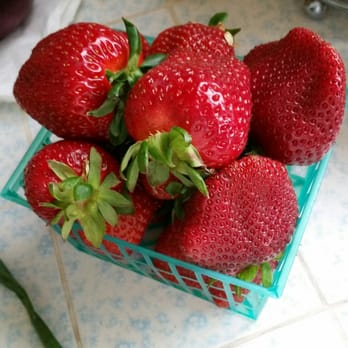 Strawberry Patch - Strawberries perfect for serving immediately. None are unripe or overripe. - Fruits & Veggies Near Me - French Camp, California