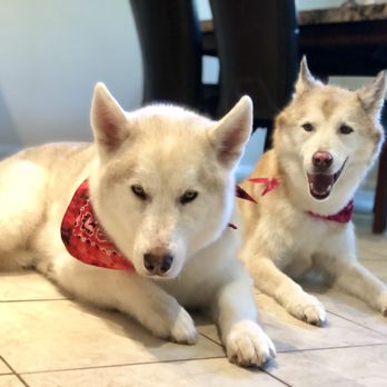 Groom Service by Debbie - Pet Groomers Near Me - Fontana, California Groom Service by Debbie - Pet Groomers Near Me - Fontana, California
