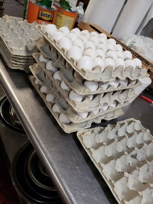 The Beaver Bar Ormond Beach by null