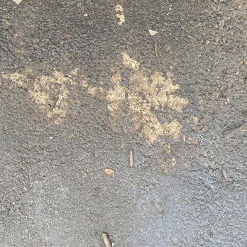 Incrediseal - Sealant coming off after a few days - Masonry/Concrete Near Me Incrediseal - Sealant coming off after a few days - Masonry/Concrete Near Me