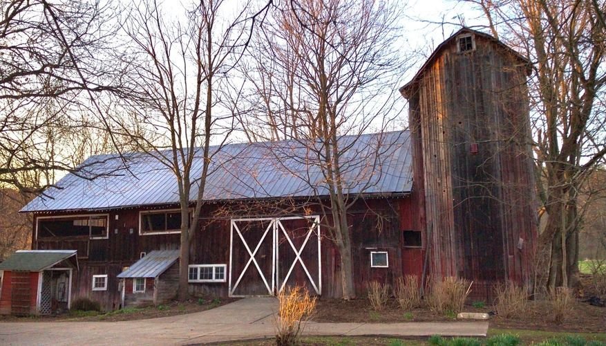 Little Creek Farm Logo