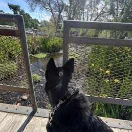 Little bridge over a stream ( there is also catch and release fishing here which is nice for the kiddos and fam.)
