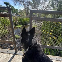 Riverbend RV Park - Little bridge over a stream ( there is also catch and release fishing here which is nice for the kiddos and fam.)