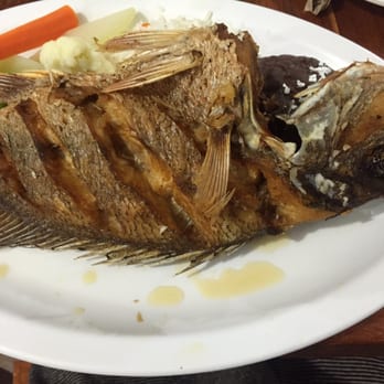 El Camello Jr. - Pescado frito - Mexican Near Me - Tulum, ROO El Camello Jr. - Pescado frito - Mexican Near Me - Tulum, ROO