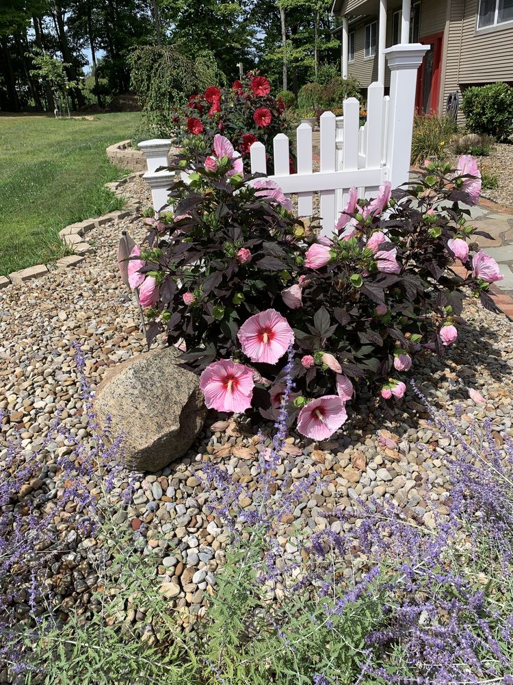 Slide of Carver’s Drainage & Landscape Solutions