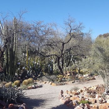 Tucson Botanical Gardens - Botanical Gardens Near Me - Tucson, Arizona