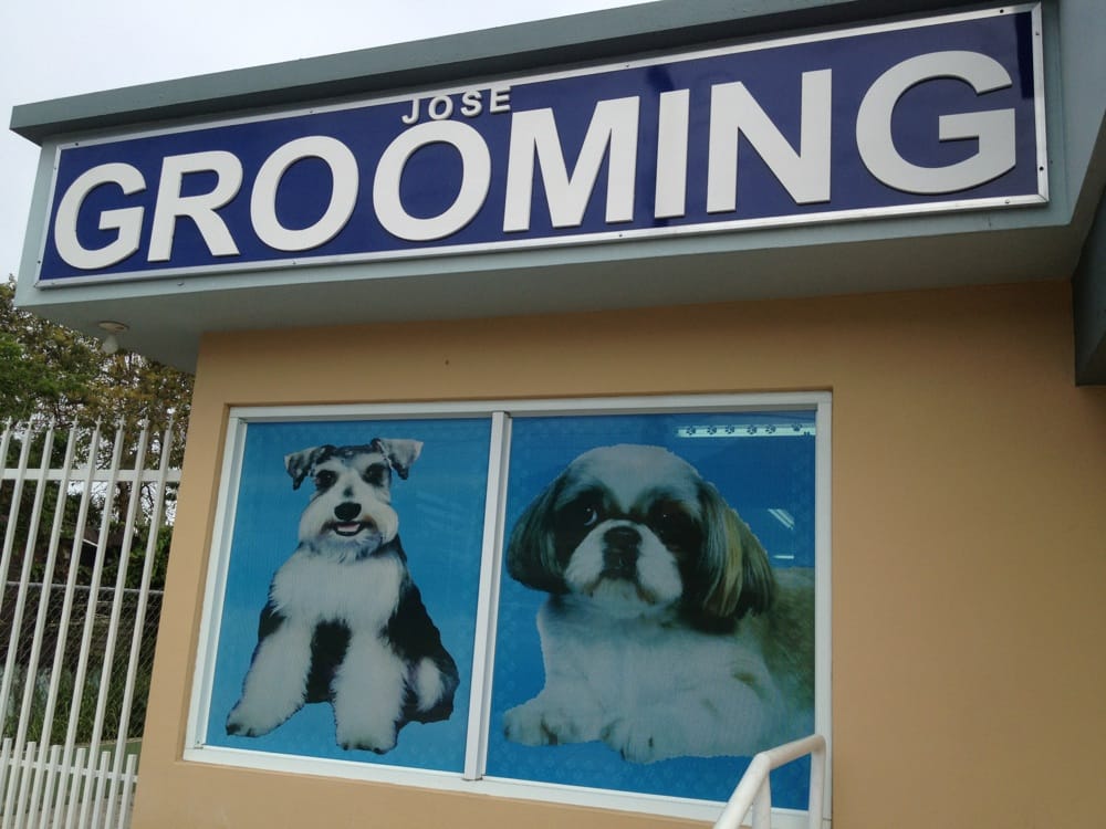 Jose Grooming Image