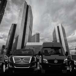 STL Royal Limousine & Black Car Service - Fleets