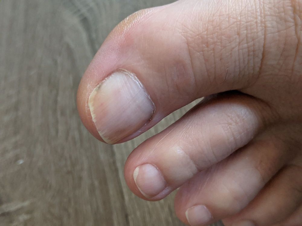 PRO NAIL AND SPA Updated September 2024 36 Photos & 53 Reviews